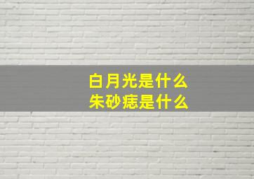 白月光是什么 朱砂痣是什么